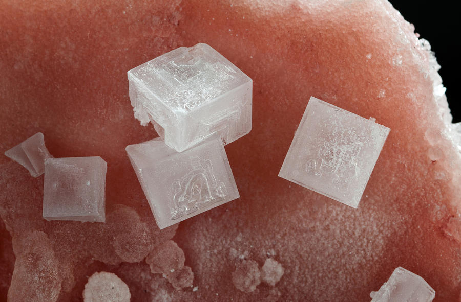 Salt Photograph - Salt Crystals by Charles D. Winters