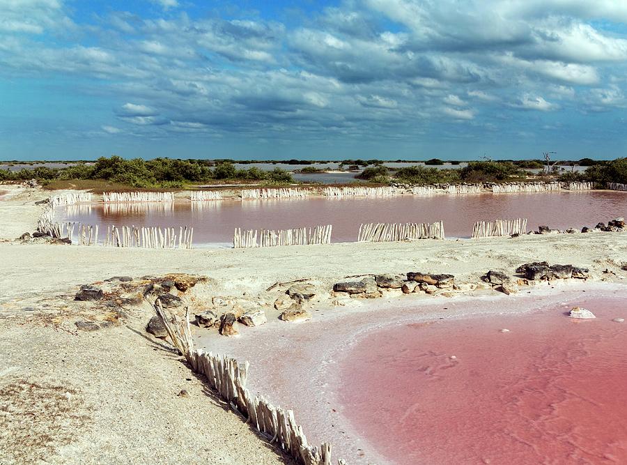 Salt Evaporation Ponds Photograph by Daniel Sambraus