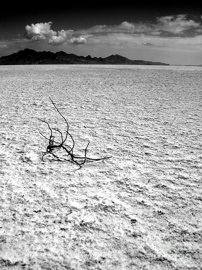 Salt Flats Utah Photograph by A K Dayton