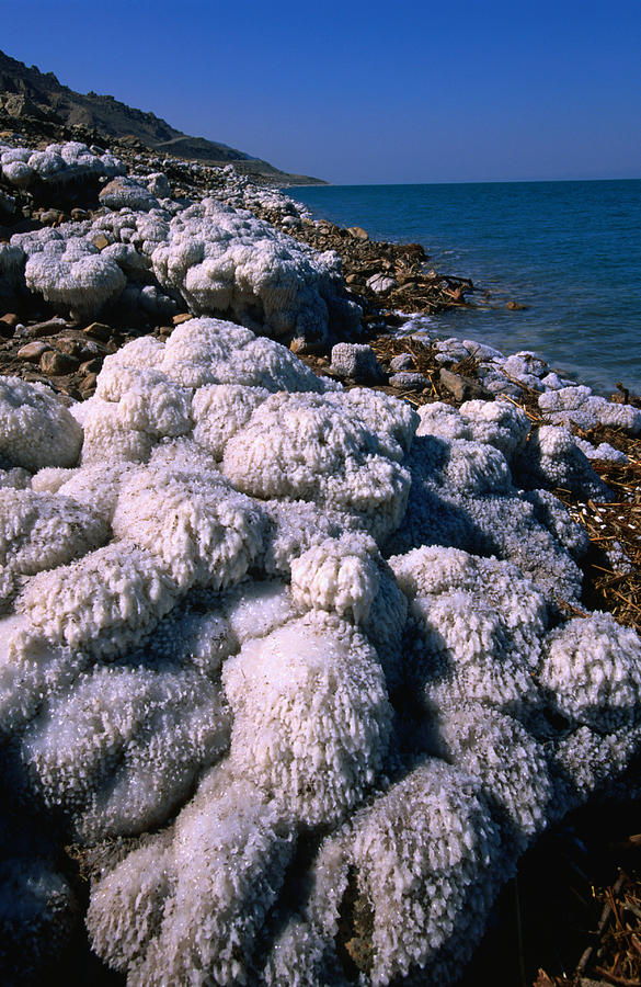 Salt Formations On The Shores Of The Photograph by John Elk Salt Formations On The Shores Of The Photograph by John Elk
