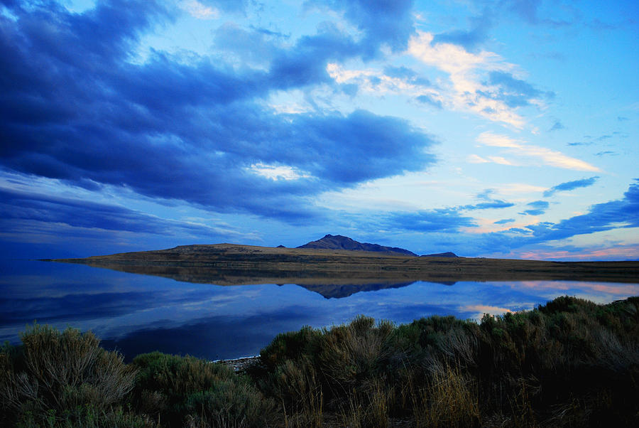 Nature Photograph - Salt Lake Antelope Island by Matt Quest