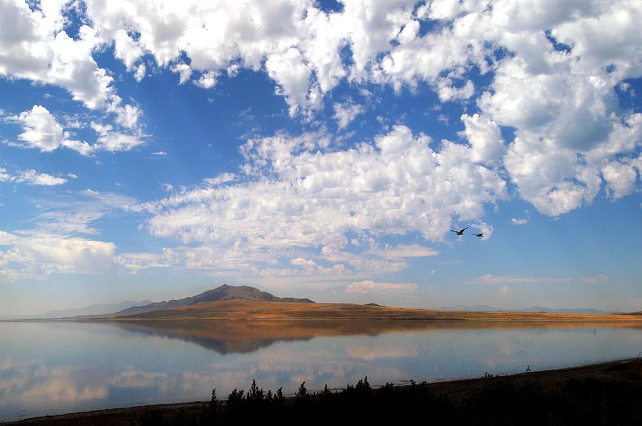 Salt Lake Utah Photograph by Yue Wang