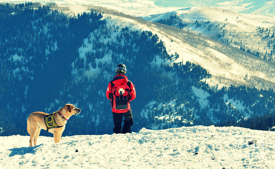 Salt Lake City Avalanche Dog and Rescue Team Photograph by Patricia Awapara
