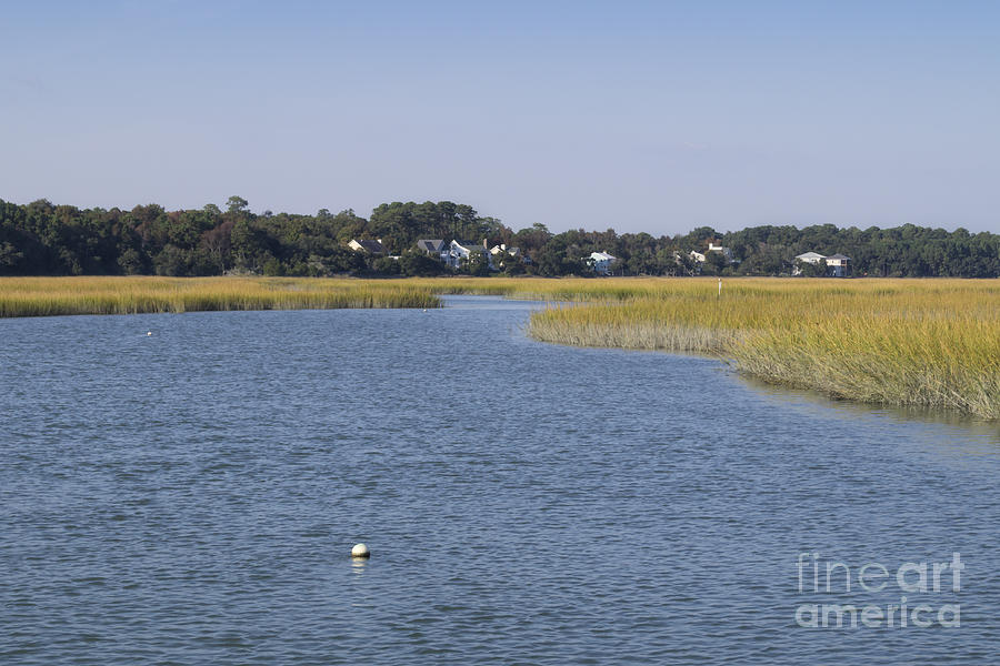 Salt Marsh at High Tide 1 Photograph by MM Anderson
