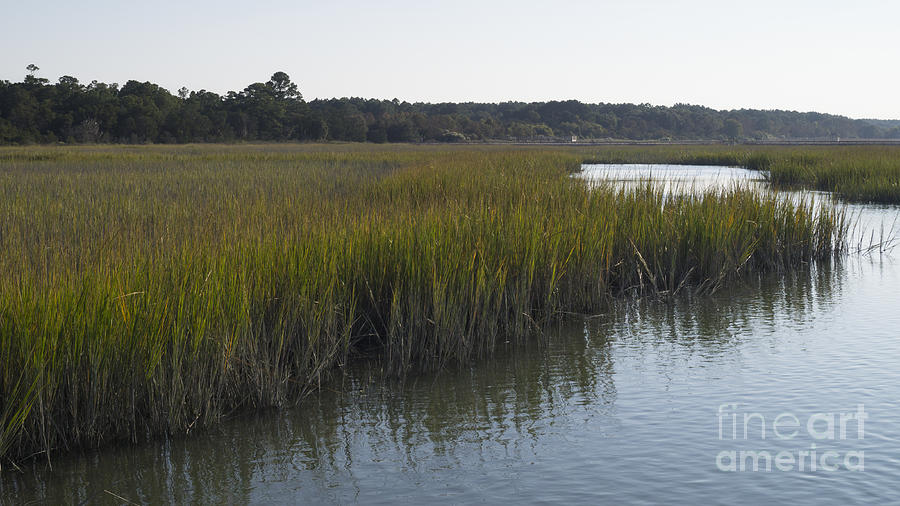 Salt Marsh at High Tide 2 Photograph by MM Anderson