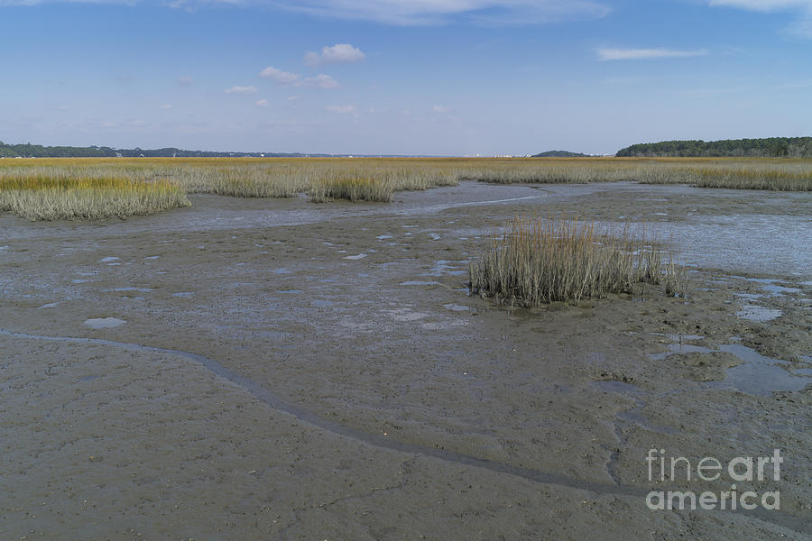 Salt Marsh at Low Tide 1 Photograph by MM Anderson