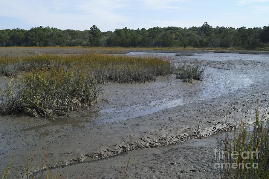 Salt Marsh at Low Tide 2 Photograph by MM Anderson