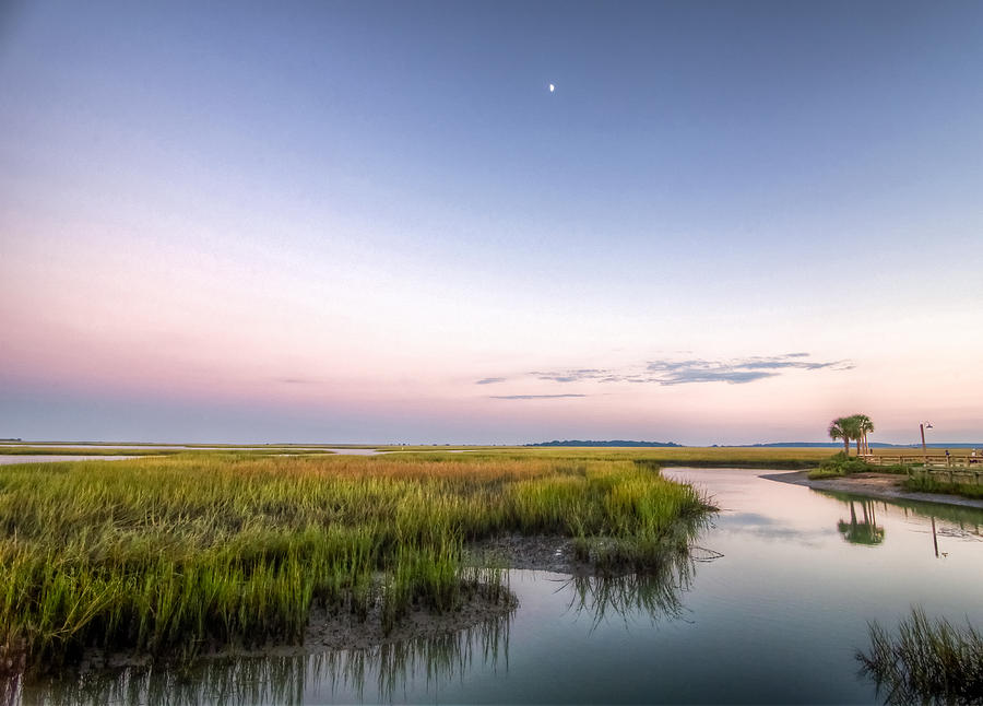 Nature Photograph - Salt Marsh Evening by Christine Martin-Lizzul
