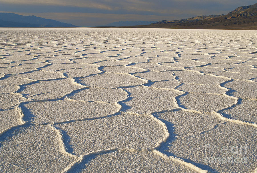 Salt Pan In Death Valley Photograph by George Ranalli