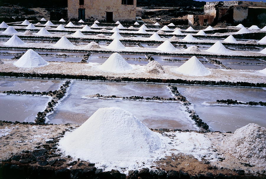 Salt Pans Photograph by Steve Taylor/science Photo Library
