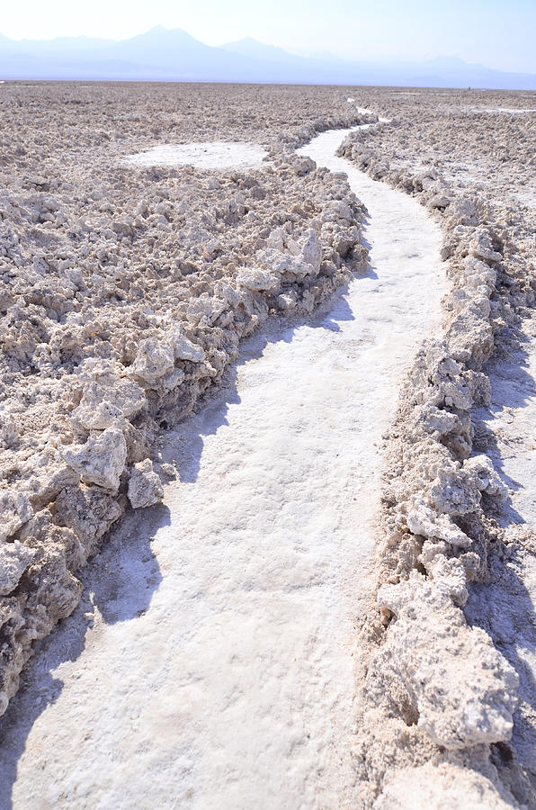 Salt path Photograph by Guilherme Santos - Fine Art America