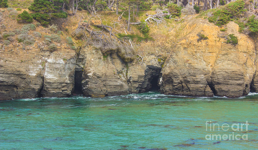 Salt Point Sea Caves Photograph by Suzanne Luft