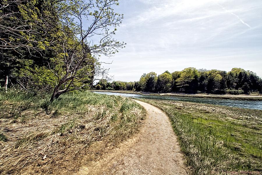 Salt Pond Trail Eastham Photograph by Constantine Gregory