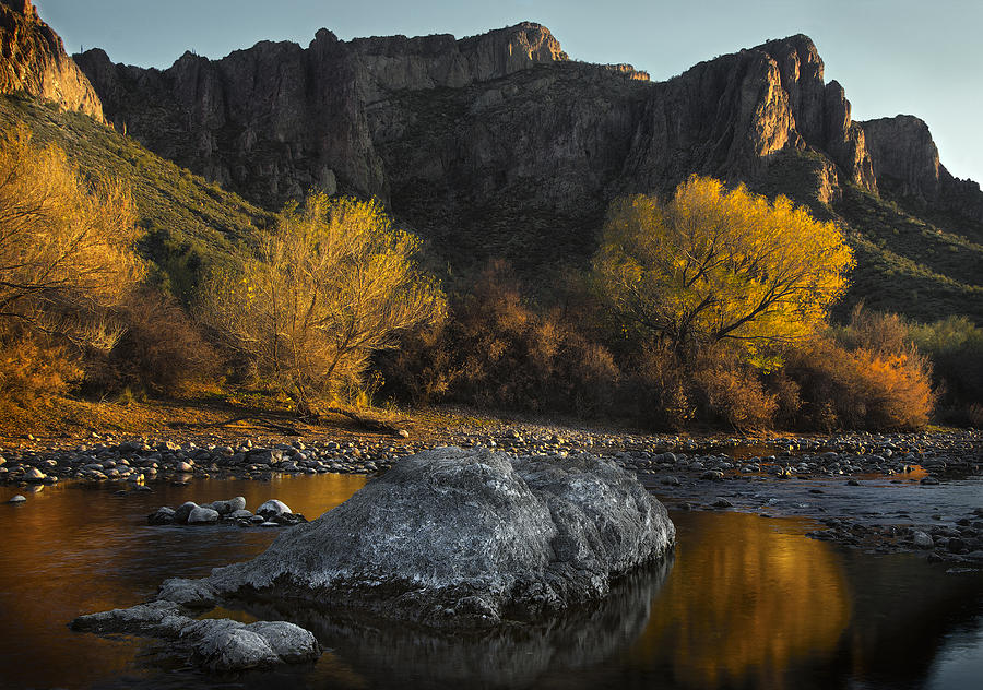 Phoenix Photograph - Salt River Fall Foliage by Dave Dilli