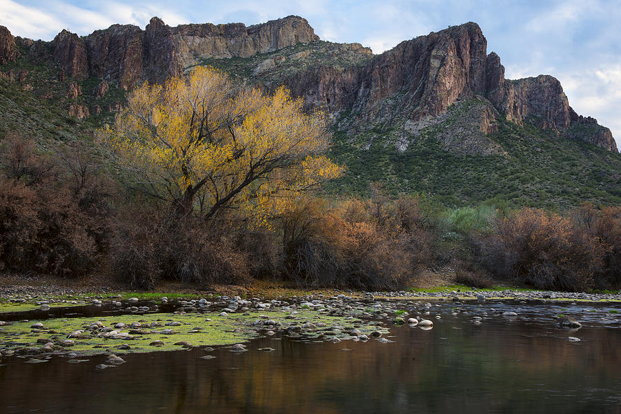 Salt River Fall Foliage Reflections Photograph by Dave Dilli