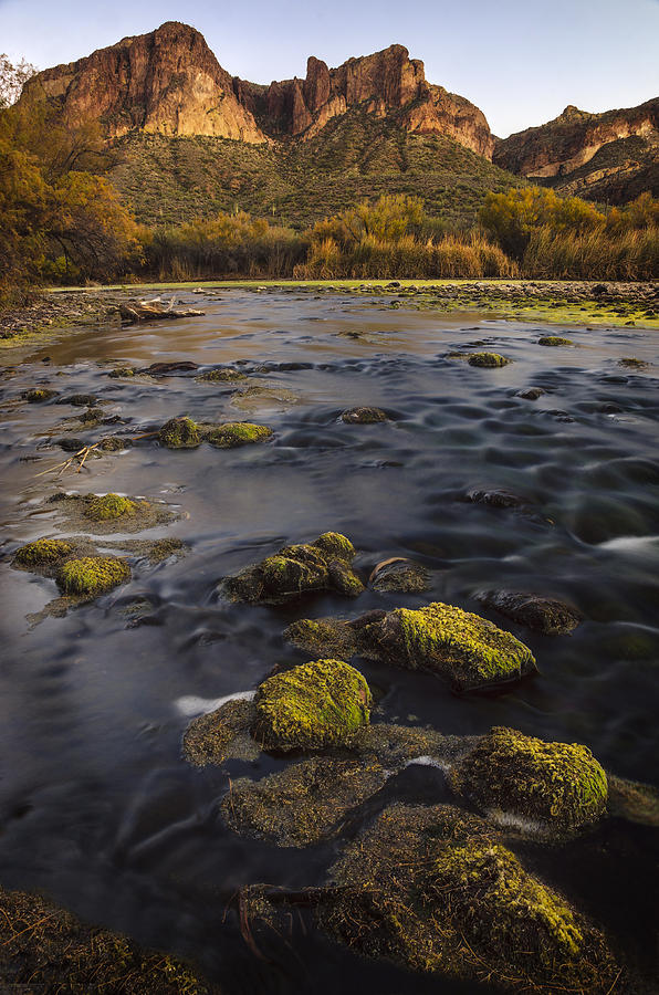 Salt River Mossy Vertical Photograph by Dave Dilli