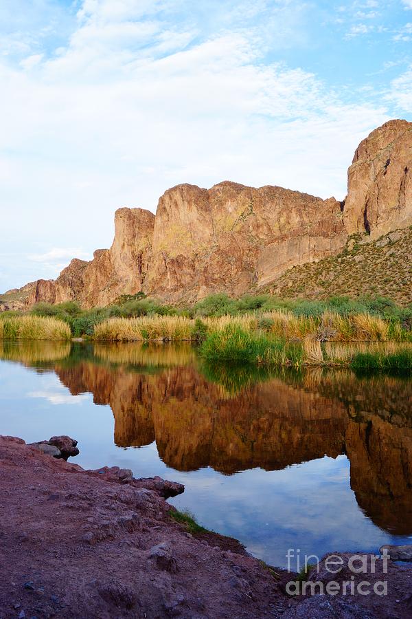 Salt River Reflection Portrait Photograph by Kerri Mortenson Salt River Reflection Portrait Photograph by Kerri Mortenson