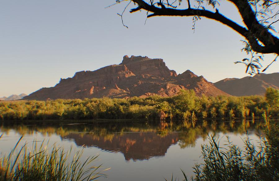River Photograph - Salt River reflections by Edward Curtis