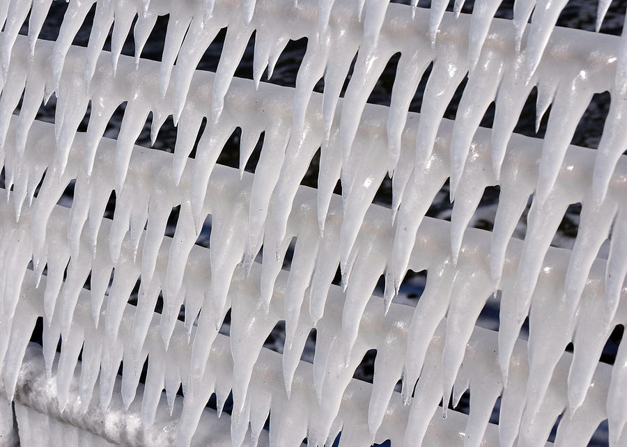 Winter Photograph - Salt-spray icicles by David Halperin