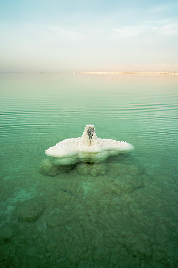 Salt Stone Photograph by Ran Zisovitch