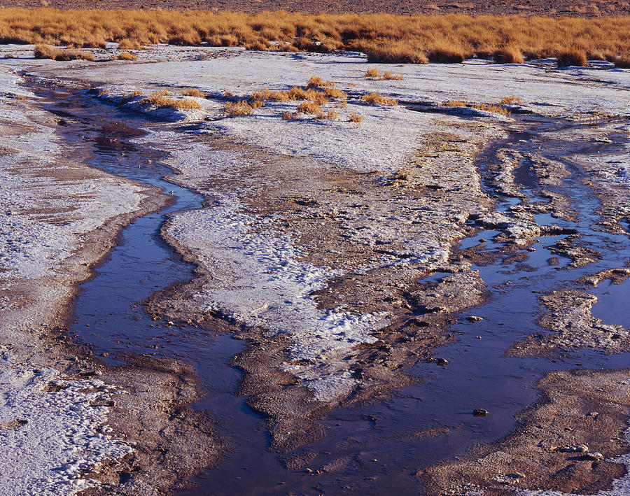 Salt Stream Confluence Photograph by Tom Daniel