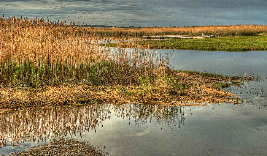 Salt Water Marsh Photograph by Rick Mosher