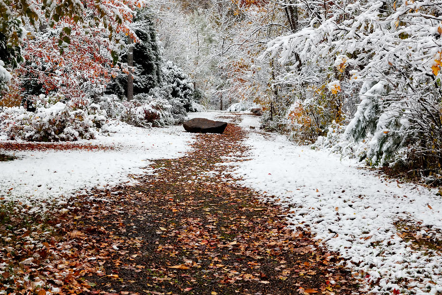 Salted Fall Trails Photograph by Deborah Scannell