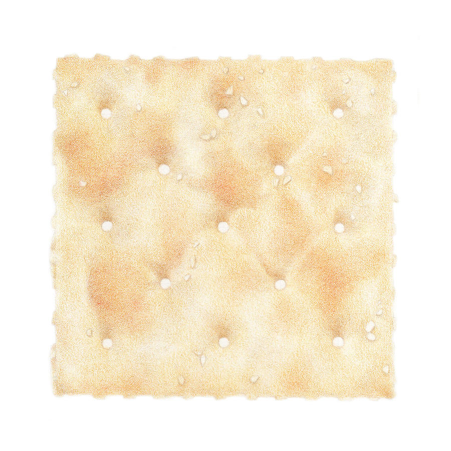 Cracker Drawing - Saltine Cracker by Paula Pertile