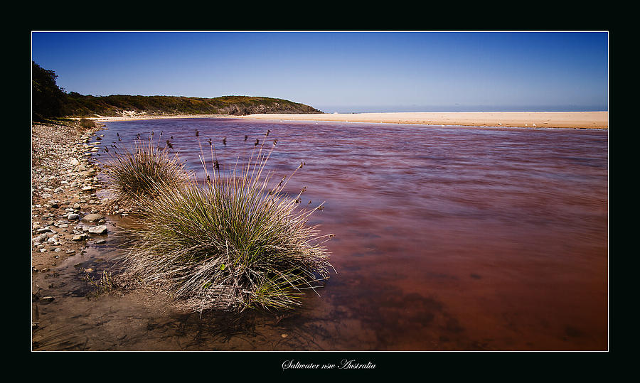 Saltwater nsw Australia 01 Photograph by Kevin Chippindall
