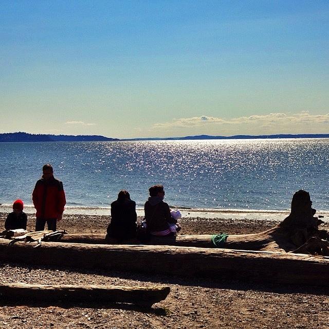 Seattle Photograph - Saltwater State Park #seattle #pnw by Kelly Hasenoehrl
