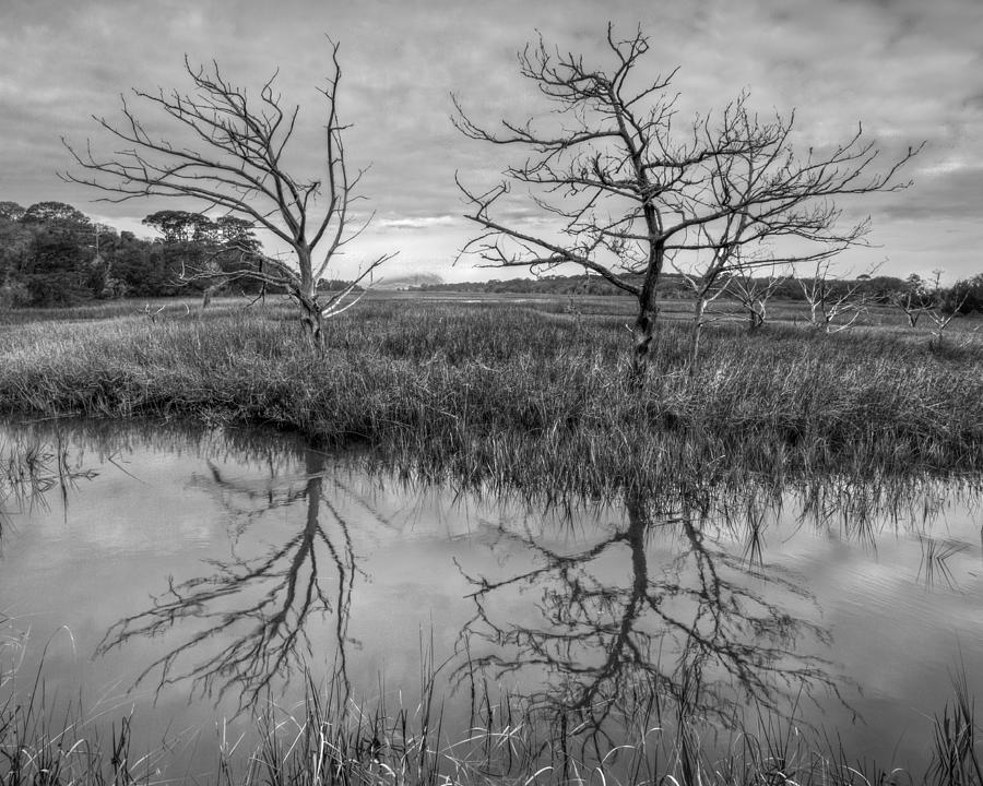 Salty Marsh at Jekyll Island in Black and White Photograph by Debra and Dave Vanderlaan
