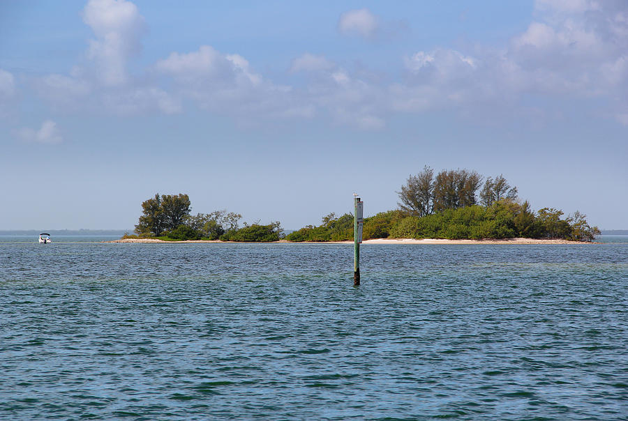 Salty Spit of Land Photograph by Max Adams - Fine Art America