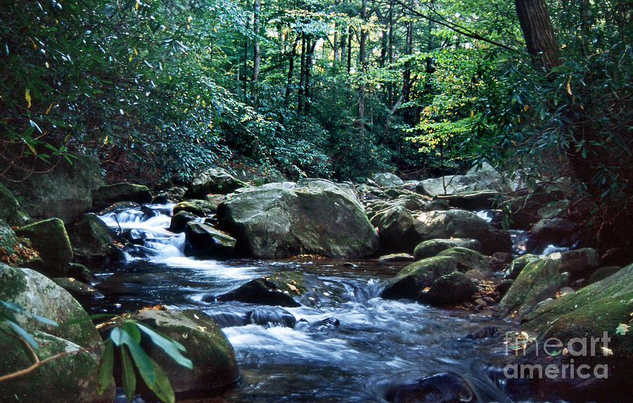 Saluda Headwaters Photograph by Skip Willits
