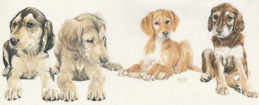 Hound Group Mixed Media - Saluki Puppies by Barbara Keith