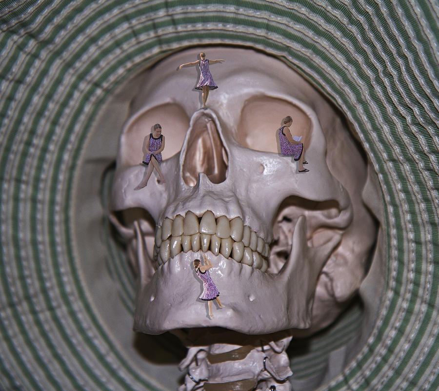 Skeleton Digital Art - Sam and the Girls by Betsy Knapp