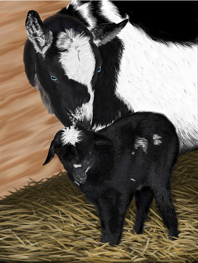 Goat Digital Art - Sam-e at one hour by Myke Irving