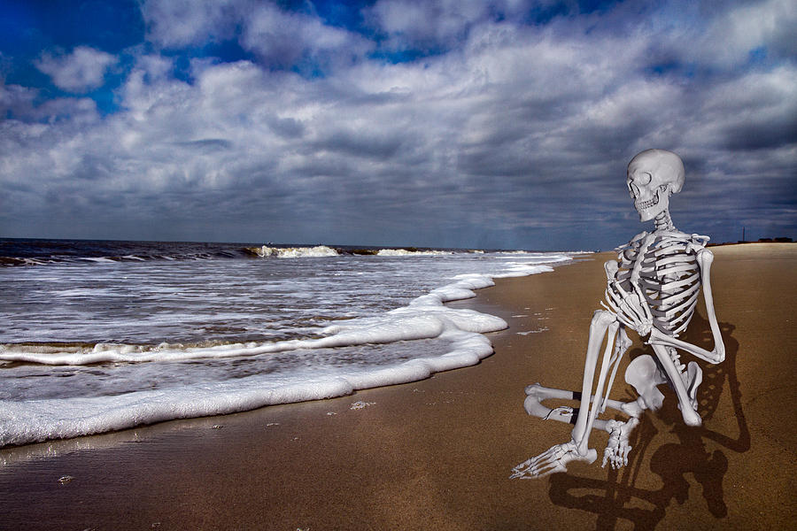 Skeleton Digital Art - Sam Looks to the Ocean by Betsy Knapp
