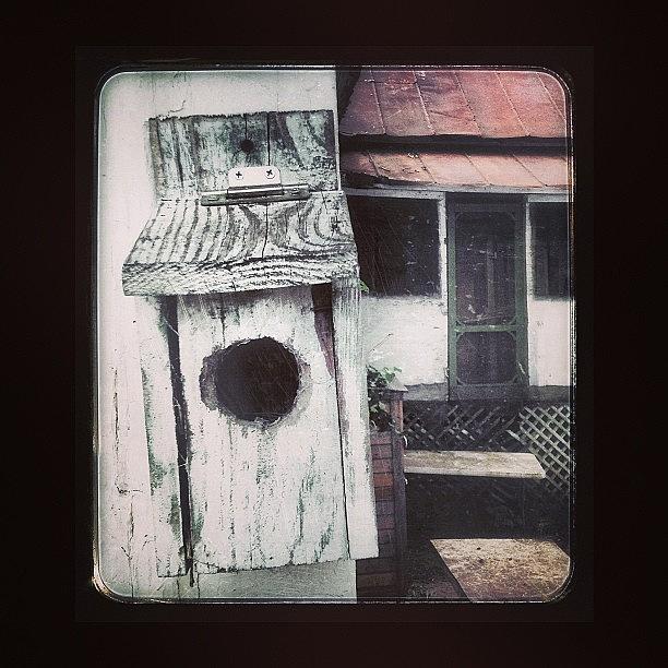 Love Photograph - Same Bird House. Different Perspective by Deana Graham