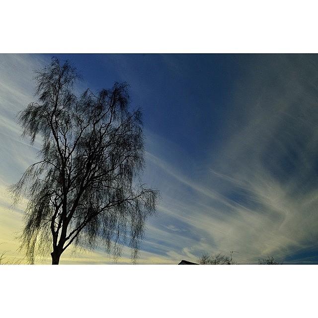 Same Tree Slightly Earlier #sunset_rv Photograph by Steve Jones