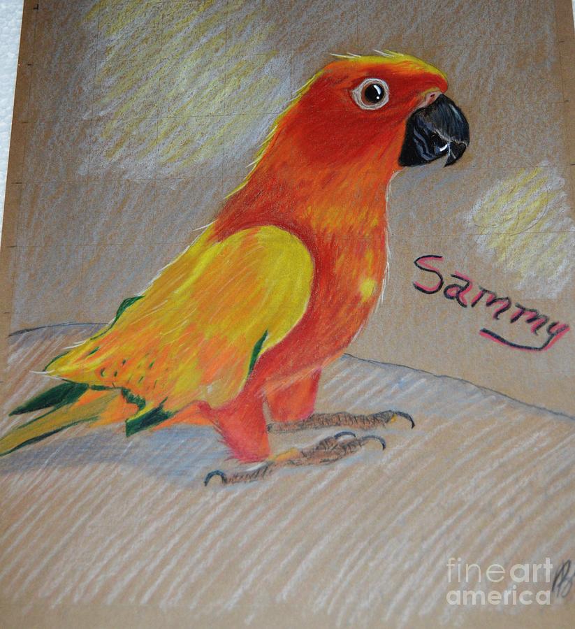 Sammy Drawing by Brigitte Emme