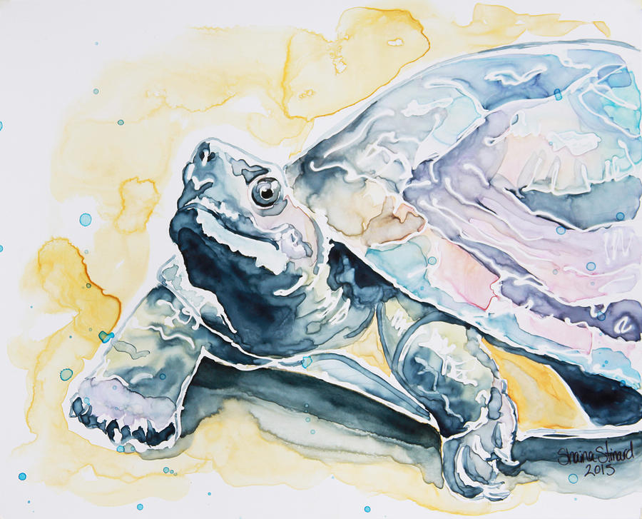 Turtle Painting - Sammy the Turtle by Shaina Stinard