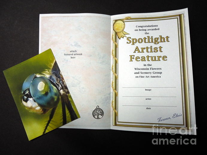 Sample Certificate for WFS Photograph by Renee Trenholm