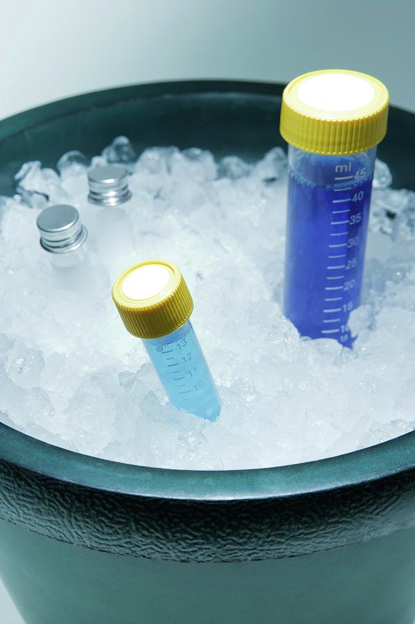 Samples Stored On Ice Photograph by Gustoimages/science Photo Library