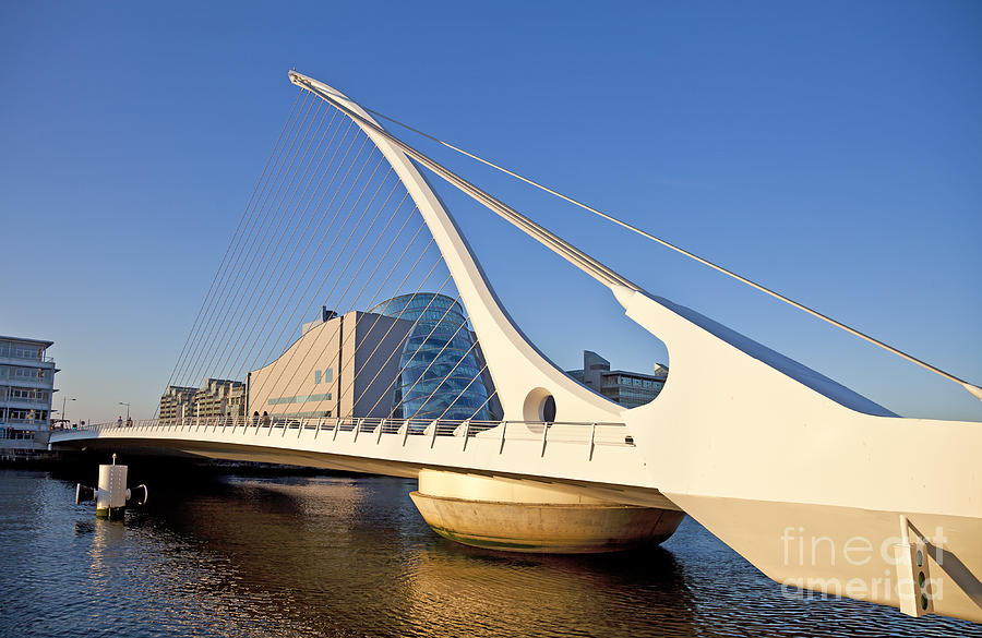Samuel Beckett Bridge Dublin Photograph by Liz Leyden