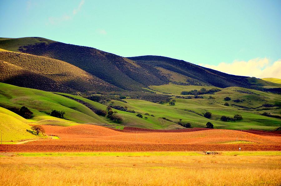 San Benito Farmlands ll Photograph by Antonia Citrino