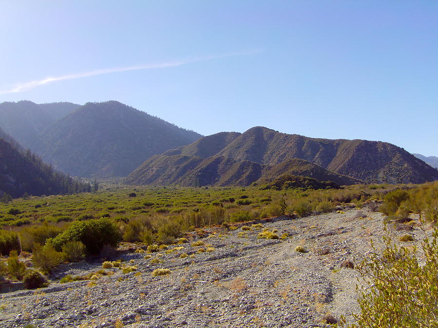 Nature Photograph - San Bernardino Mountains Trail by Dan Twyman