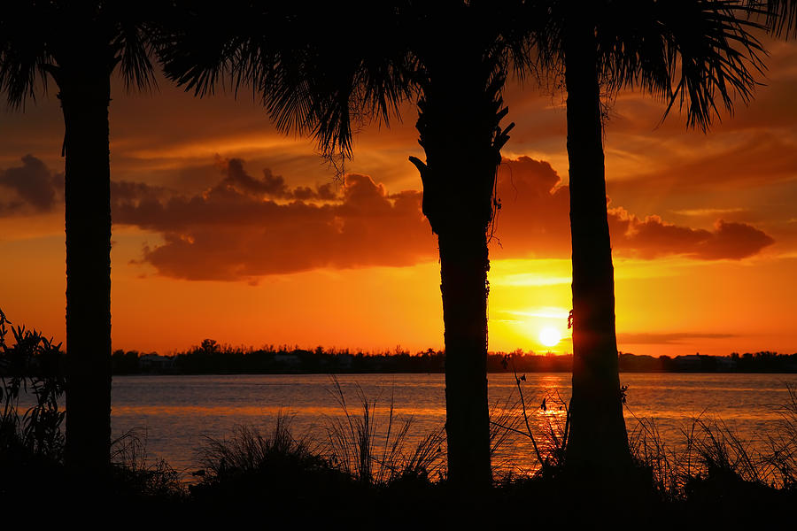San Carlos Bay Sunset IV Photograph by Steven Ainsworth