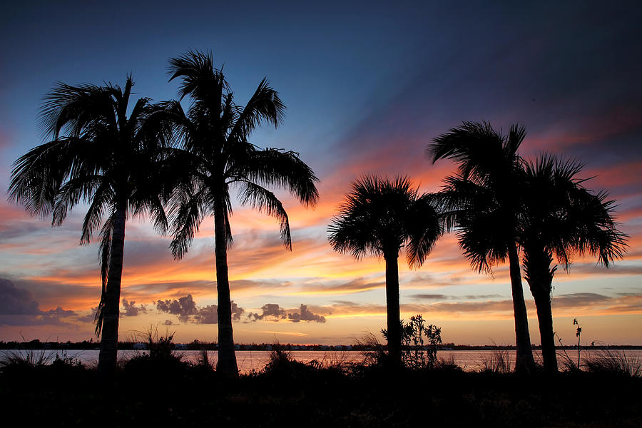 San Carlos Bay Sunset V Photograph by Steven Ainsworth