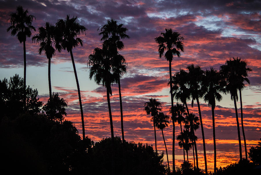 San Clemente Sunset Photograph by Richard Cheski