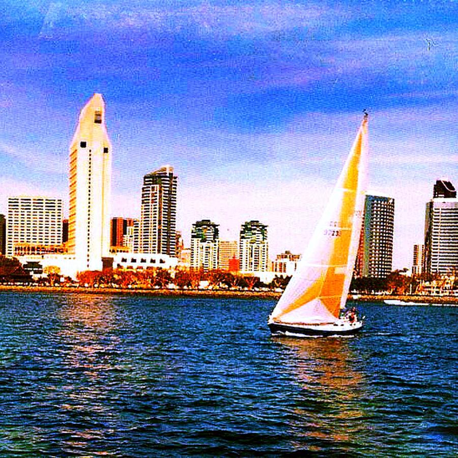 San Diego Bay Sail Photograph by Scott French